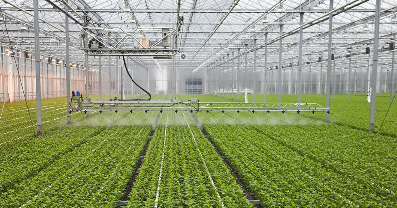 Indoor Agriculture